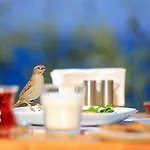 Mavilim 호텔 카스