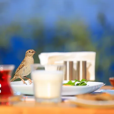 Mavilim 호텔 카스